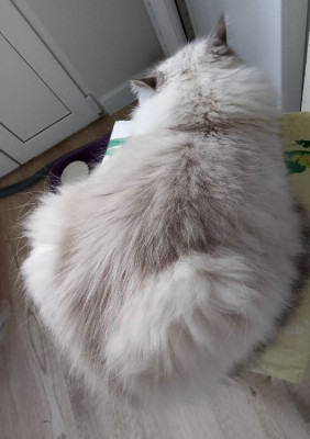 ����