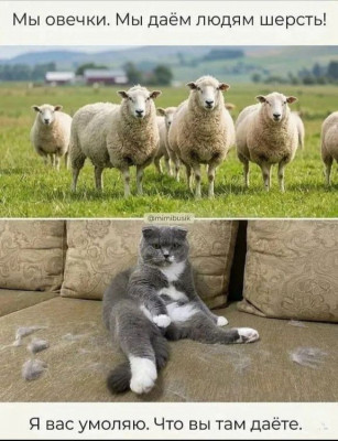 ����