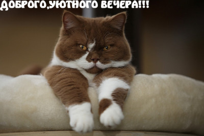 ����