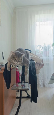 ����