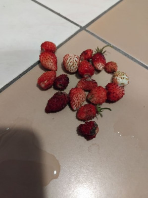 ����
