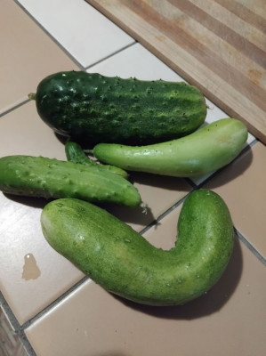 ����