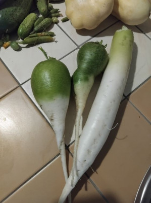 ����