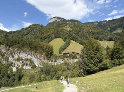 ����