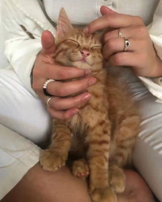 ����