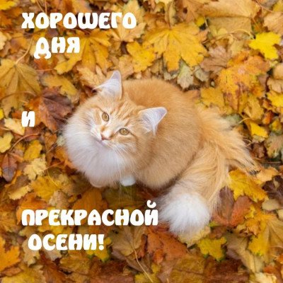����