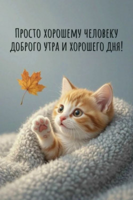 ����