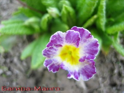 Фото