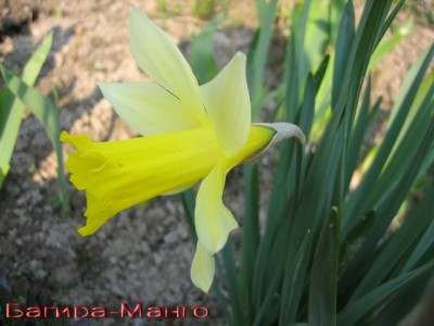 Фото
