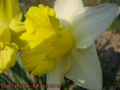 Фото