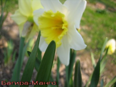 Фото
