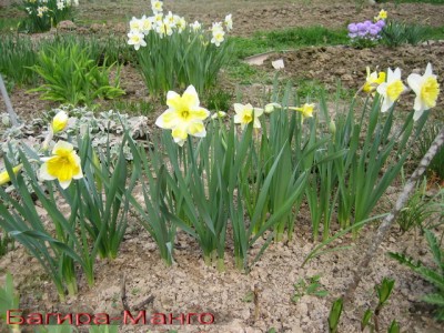 Фото