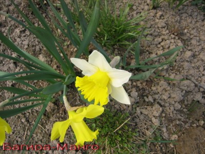 Фото