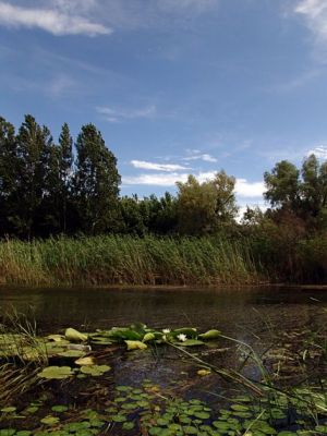 Дельта волги астрахань фото