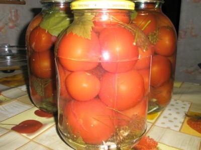 Соленые помидоры на зиму в банках: рецепты соленой и сладкой засолки, как солить томаты