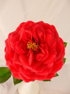 Фото