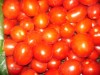 Соленые помидоры, квашеные вкусные! Особенно для закуски:))