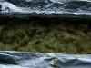 Как приготовить настоящие Драники?