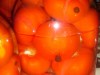 Шпигованные помидорки