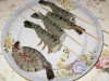 Как правильно варить креветки?